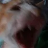 mikeymalixi