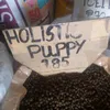 hshshshsh1113