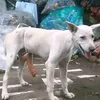 nooooto