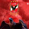 1_.mohamed.sameh