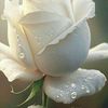 i_luv002