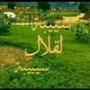 user486214720481