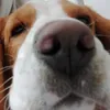 donparce3