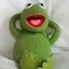 whittyfrog