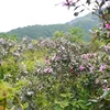 nhat.phong678