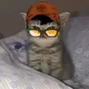 haibamo6