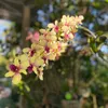 kha.nguyn047