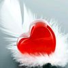 user4402516980209
