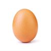 eggs0923