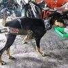 maoy4917