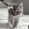 mili_g4la