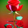 user3260204812853