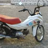wf987979202fernan