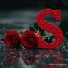 danah6360