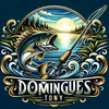 tony.domingues3