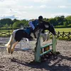 harliandherpony