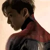spider_go0