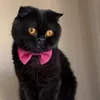 cbouwnsg