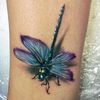 dragonflylove7