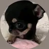 milenaa_aaa51