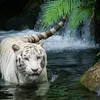 manuelblanco493