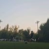 Dobrin Alex