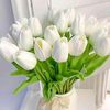 asma.bibi4349