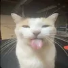 mistyy.0_0