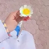 z.ali117