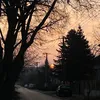 panni3123