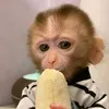 adamzzz023