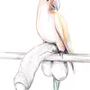 abubandit3371