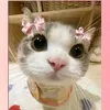 nathalie_ib