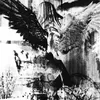 graydism