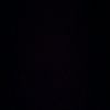dex_.bran