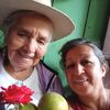 virginia.maita74