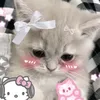 miamormichi