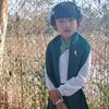shwewitnawar