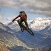 The Daily Mountain Biker