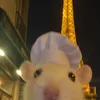 ririfm0