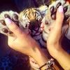 annabelw_private