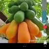 iqra.abdi69