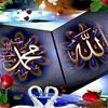 mumtaz.rashid5