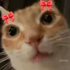 gggrc_