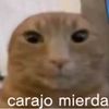 elgalargas_6090