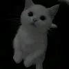 abiba_26