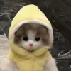 meriiryuu