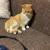 bogdan.elena31