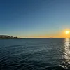 alexhotmail.1