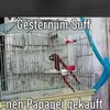 positivvibesonly6